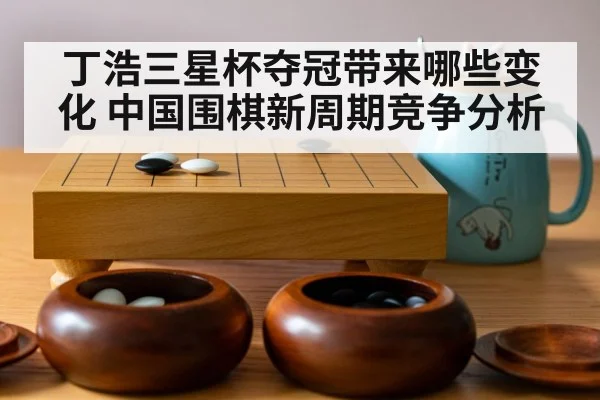 丁浩三星杯夺冠带来哪些变化 中国围棋新周期竞争分析 | kaiyun sports